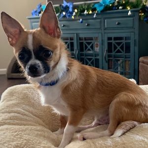 Meet your Posher, Andy